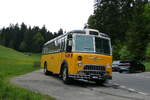 (286'804) - Gast, Reutigen - BE 24'079 - FBW/FHS (ex Nr.