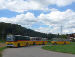 (220'144) - Widmer, Bern - BE 842'322 - NAW/Hess (ex Lombardi, Winterthur; ex Wohlgemuth, Hochwald) am 23.