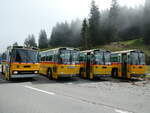 (239'829) - Roth, Zrich - SH 36'376 - Saurer/Tscher (ex Looser, Elm; ex Mattli, Wassen) am 28.