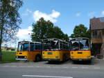 (239'862) - Schmid, Thrishaus - BE 26'206 - Saurer/Tscher (ex P 24'244) am 28.