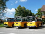 (239'875) - Schmid, Thrishaus - BE 26'206 - Saurer/Tscher (ex P 24'244) am 28.