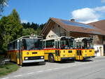 (239'877) - Roth, Zrich - SH 36'376 - Saurer/Tscher (ex Looser, Elm; ex Mattli, Wassen) am 28.