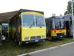 (265'792) - Grison, Ernetschwil - SG 490'336 - Saurer/Tscher (ex Vogt, Serneus Nr. 11; ex P 24'600) am 17. August 2024 in Neuhausen, Langriet