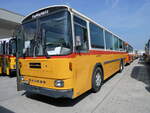 (266'343) - Ryser, Auswil - BE 6061 U - Saurer/Hess (ex Flury, Balm) am 31.