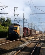 EG 3106 fährt hier mit dem 44736 durch Jübek. 12.09.12