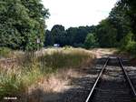 glinder bahngelände vor dem mähen 30.05.17