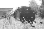 verlsst mit dem Querfurt-Express den Bahnhof Mcheln (Geiseltal) See in Richtung Querfurt am 14.8.21