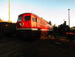 132 372 und 91 134 im Eisenbahn und Technikmuseum Schwerin am 29.9.18