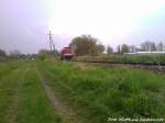 112 565-7 (DB 202 565-8) als Schlusslicht unterwegs nach Lauterbahc Mole / Hier kurz vor dem Haltepunkt Lauterbach (Rgenn) am 11.5.13