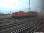 BR 155 & BR 212 abgestellt in Stralsund Hbf am 16.12.13