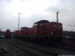 212 347-9 und 212 XXX abgestellt in Stralsund Hbf am 27.2.14