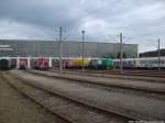 BR 294 / Voith Maxima / 221 145-6 / BR 229 / G1206 & Mittelwagen vom ET 403 (Donald Duck) in Neustrelitz am 7.10.13