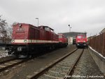 202 327 (203 237), 232 416 der LEG und die ausgeschlachtete 232 182 in Delitzsch am 1.3.16