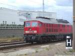 233 285-6 kurz vor der Weiterfahrt im Bahnhof Waren (Mritz) am 16.6.14