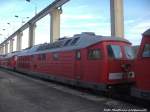 233 705-3 abgestellt in Mukran am 23.8.14