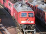 Z-Gestellte 241 449-8 in Halle (Saale) am 6.4.16