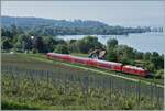 Eine DB 245 ist mit einem IRE bei Birnau auf dem Weg nach Friedrichshafen. 

18. Mai 2022