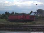 BR 298 abgestellt im Bahnhof Stralsund Hbf am 13.7.14