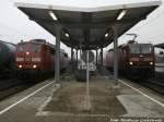 151 016 und 143 180 trafen sich im Bahnhof Grokorbetha am 22.1.15