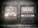 142 255 und 243 005 im DB Museum Halle (Saale) am 4.7.15