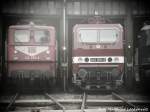 142 255 und 243 005 im DB Museum Halle (Saale) am 4.7.15