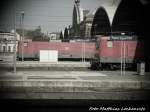 143er Treffen im Bahnhof Halle (Saale) Hbf am 5.8.15