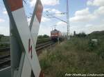 143 566 mit einer RegionalBahn kurz vor dem Bahnhof Teutschenthal am 4.6.15