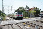 146 573 mit ihrer IC2 Garnitur bei der Durchfahrt in Niemberg am 30.7.20