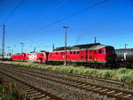 233 572, 185 399 und 187 XXX in Großkorbetha am 2.7.18