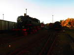 64 007 und Dampfschneeschleuder im Eisenbahn und Technikmuseum Schwerin am 29.9.18