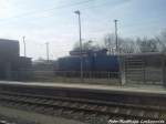 PRESS 346 020-3 (345 213-3) Dieselt gemtlich aus Mukran in den Bahnhof Bergen auf Rgen am 24.4.13