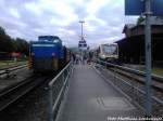 Am abend war am Ende des RBB Zuges leider wieder die Diesellok 251 901 dranne, Morgens fuhr als ersatz fr die Ausgefallende 251 901 die Mh 53 / RBB 251 901 & PRESS 650 032-4 im Bahnhof Putbus am