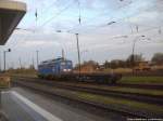 PRESS 140 037 mit einem Schmalspurtransportwagen abgestellt im Bahnhof Bergen auf Rügen am 25.4.14