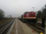 112 565 mit dem Sonderzug im Bahnhof Dessau-Mosigkau am 3.3.19