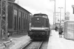 114 703 (203 230) im Bahnhof Bergen auf Rgen am 1.8.21