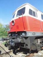 232 293 der EBS auf dem LEG Gelnde in Delitzsch am 2.8.15