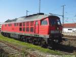 241 353 der EBS bei ihrem freien Arbeitstag in Delitzsch am 2.8.15