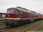 132 334 der EBS abgestellt in Delitzsch am 13.4.16