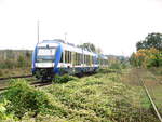 HarzElbeExpress (HEX) mit ziel Halle (Saale) Hbf in Halle-Trotha am 28.10.17