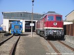 V22, 250 137 und 132 158 der LEG in Delitzsch am 14.3.16