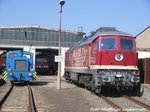 V22, 250 137 und 132 158 der LEG in Delitzsch am 14.3.16