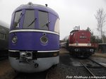 SVT 137 234 und 202 327 der LEG bei den Leipziger Eisenbahntagen in Leipzig-Plagwitz am 19.3.16