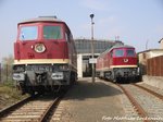 132 004 der LEG und 132 334 der EBS vor der LEG Werkstatt in Delitzsch am 12.4.16