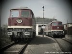 132 004 der LEG und 132 334 der EBS vor der LEG Werkstatt in Delitzsch am 12.4.16