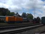 MTEG 293 022-0 und RBB 99 1781 im Bahnhof Putbus am 6.1.14