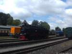 MTEG 293 022-0 , RBB 251 901 und 99 1781 im Bahnhof Putbus am 6.1.14