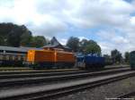 MTEG 293 022-0 und RBB 251 901 im Bahnhof Putbus am 1.6.14