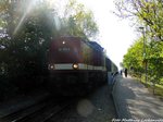 112 703 (203 230) im Bahnhof Lauterbach Mole am 22.5.16