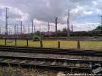 OHE 270081 mit einem Holzzug mit Ziel Stendal beim Durchfahren des Bahnhofs Rostock Hbf am 22.6.13