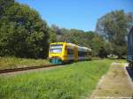 ODEG VT 650.74 im Auftrag der PRESS mit ziel Lauterbach Mole beim einfahren in den Bahnhof Putbus am 6.9.14